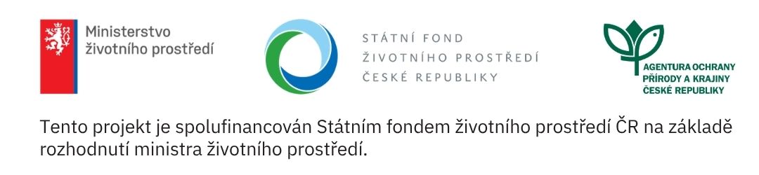 baner-jmeli